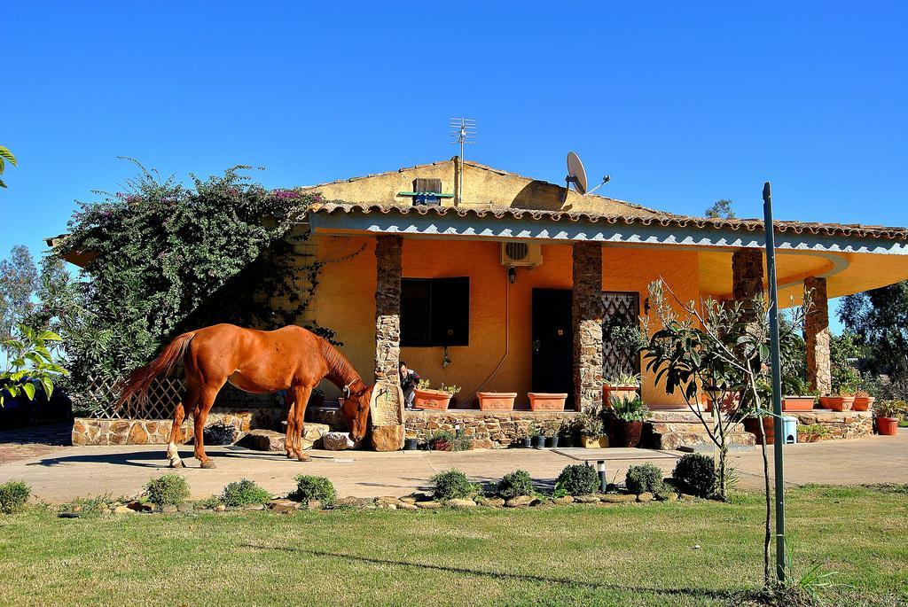 Agriturismo Monte Majore Siliqua 외부 사진